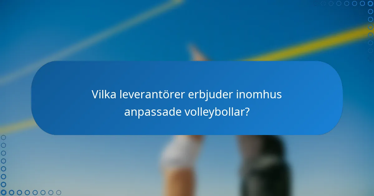 Vilka leverantörer erbjuder inomhus anpassade volleybollar?