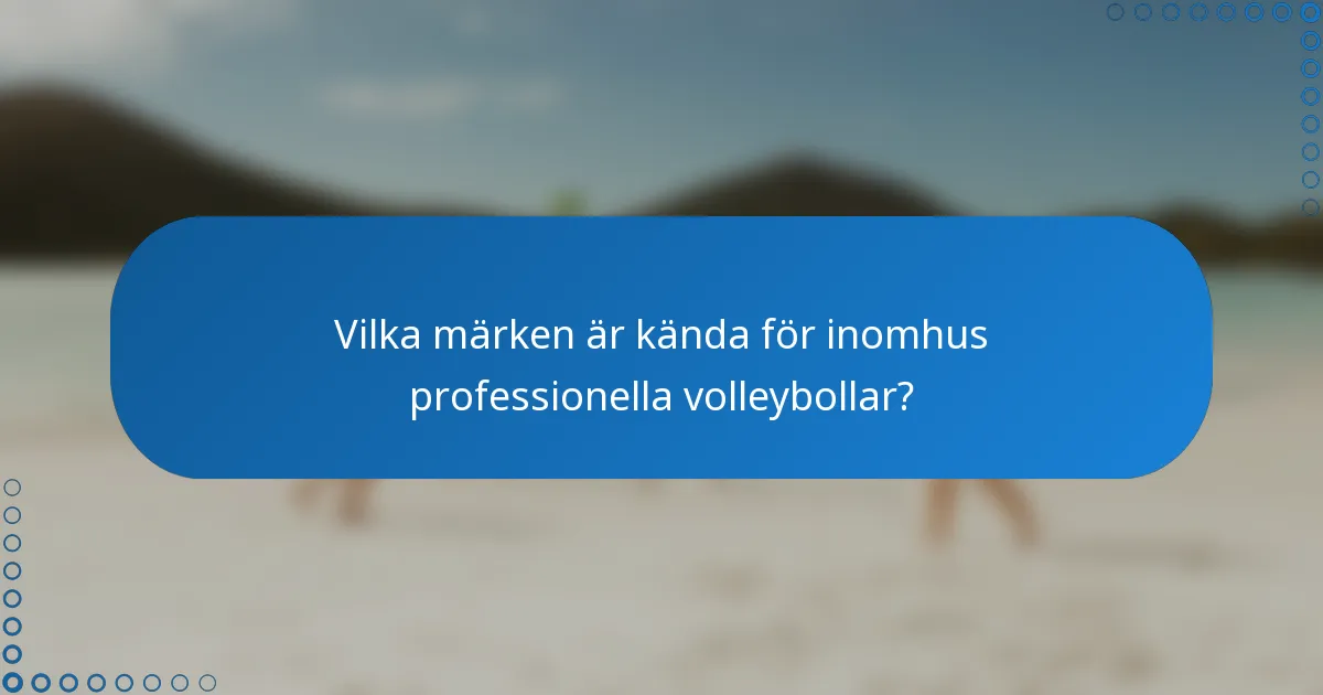 Vilka märken är kända för inomhus professionella volleybollar?