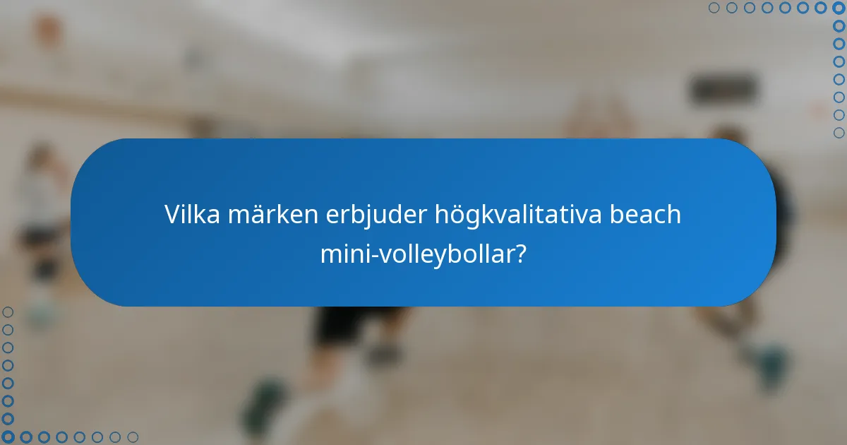 Vilka märken erbjuder högkvalitativa beach mini-volleybollar?