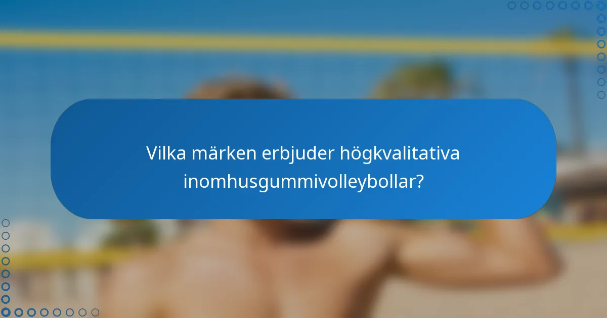 Vilka märken erbjuder högkvalitativa inomhusgummivolleybollar?