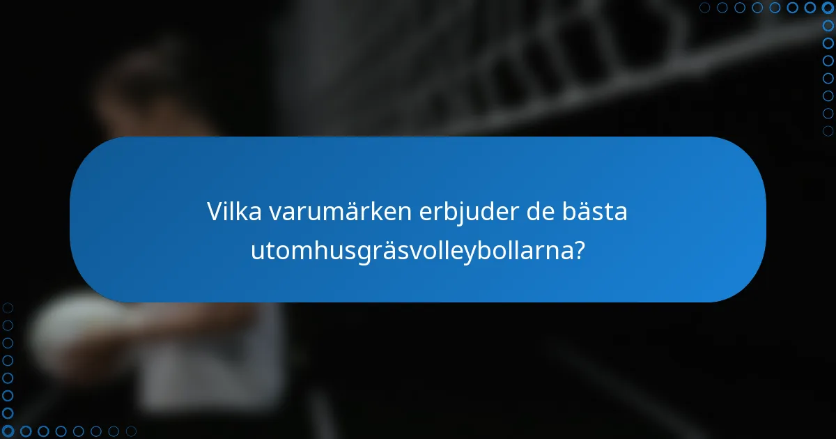 Vilka varumärken erbjuder de bästa utomhusgräsvolleybollarna?